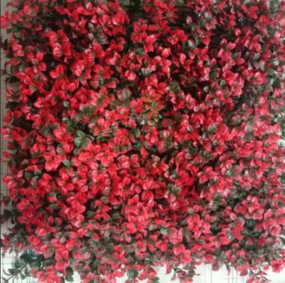 qualidade  Artificial Wall Grass Natural Looking Low Maintenance Solution For Indoor Outdoor Spaces fábrica