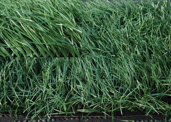 60mm Balcão Erva sintética 140 pontos/M Erva falsa verde com 5/8' de diâmetro