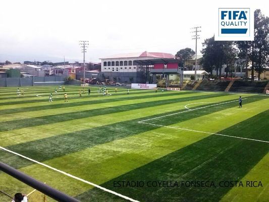 Erva artificial de alta densidade de 55 mm de altura de pilha certificada pela FIFA para campos de futebol com baixa manutenção