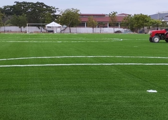 50 mm Futebol Erva Artificial 160 pontos/M Erva Falsa para Futebol e atividades ao ar livre com pouca manutenção