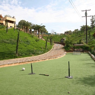 48mm Paisagem de lazer Verde artificial Falsos gramados Alta densidade Alta Dtex Baixa manutenção Aparência realista