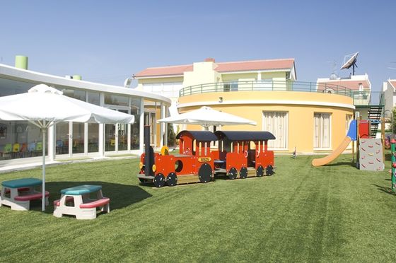 16mm 25mm Hybrid Artificial Grass Carpet Garden Landscape Mat Grass lawn