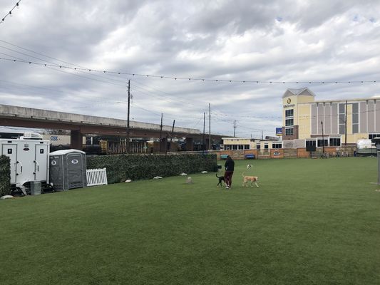 Grama artificial de 42 mm de altura de pilha com aparência realista e baixa manutenção para jardins e paisagismo