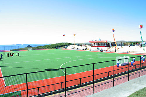 Relva Artificial de Alta Densidade com 18mm de Espessura e Grande Resistência UV para Golfe e Hóquei
