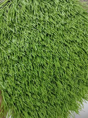50mm Gramado Artificial Esportivo Futebol Beisebol Estádios Esportivos Parques Infantis Resistência UV Baixa Manutenção