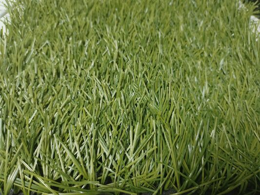 Altura da Pelúcia de 55mm 8000 Dtex 220 Pontos por Metro Gramado Artificial de Alta Densidade para Estádios e Locais de Treinamento