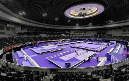Tapete de Wushu Certificado pela IWUF e Equipamento Esportivo para Aplicação Multiesportiva com Tamanho de 12000mm × 18000mm × 90mm