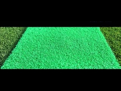 Taishan Nylon Produtos Novos