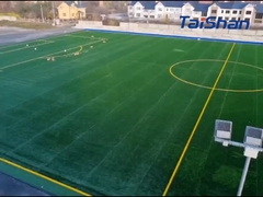 Relvado de futebol certificado pela FIFA