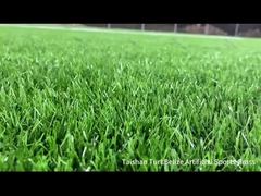 Novo projeto Taishan Belize Gramado Esportivo Artificial